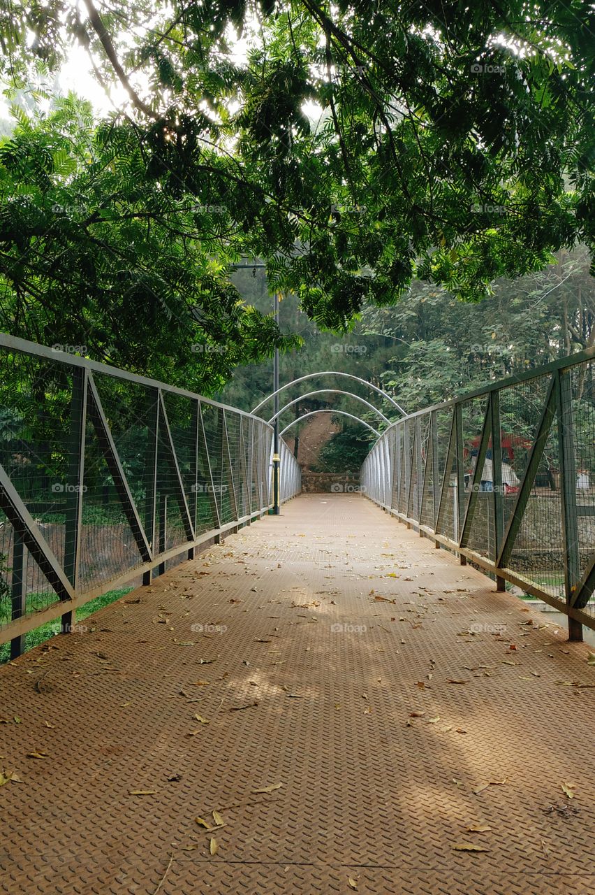 Footbridge at city park