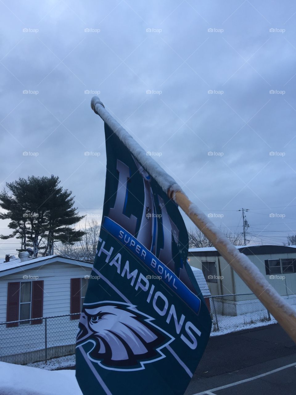 Fly Eagles fly eagles win the super bowl I Bleed green 