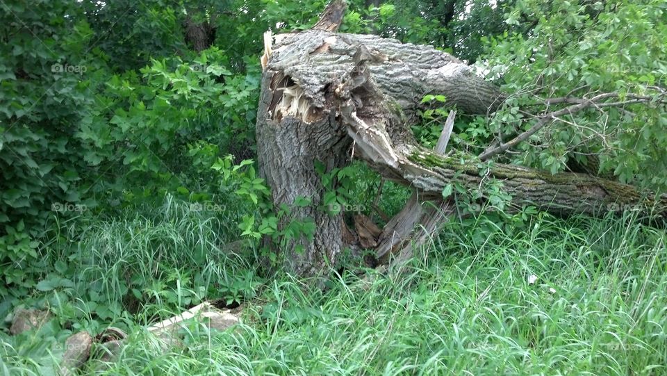 After the storm damage