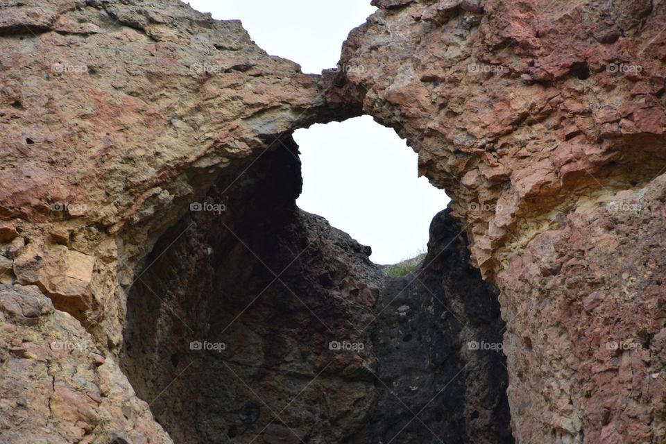 Petrified tree trunk