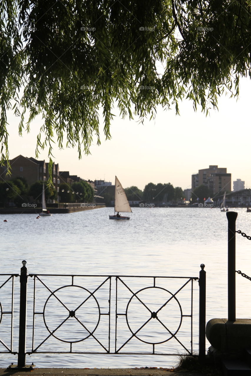 Water, Tree, Travel, No Person, Sky