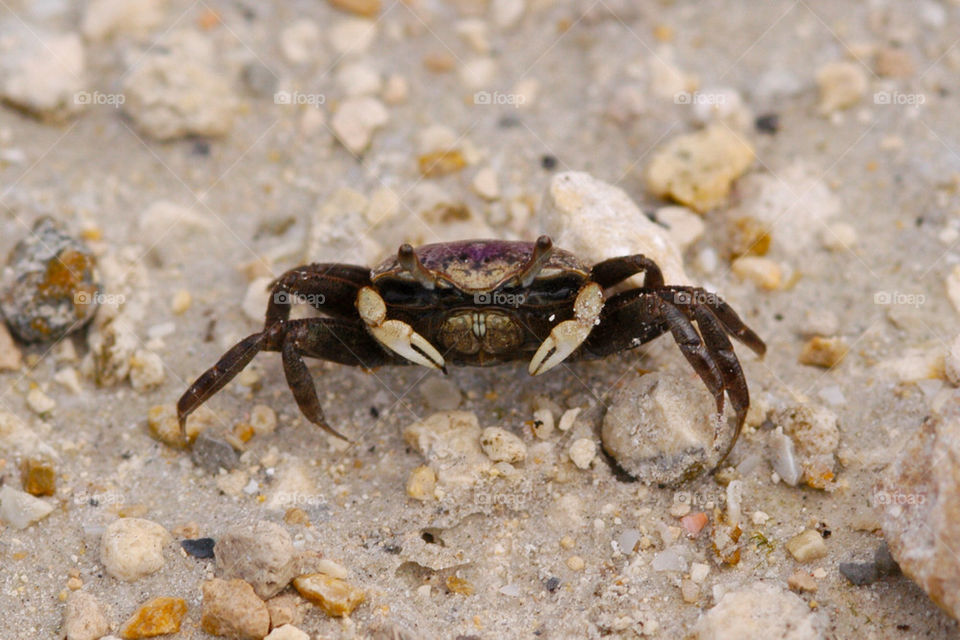sand path rocks hiking by dslmac2
