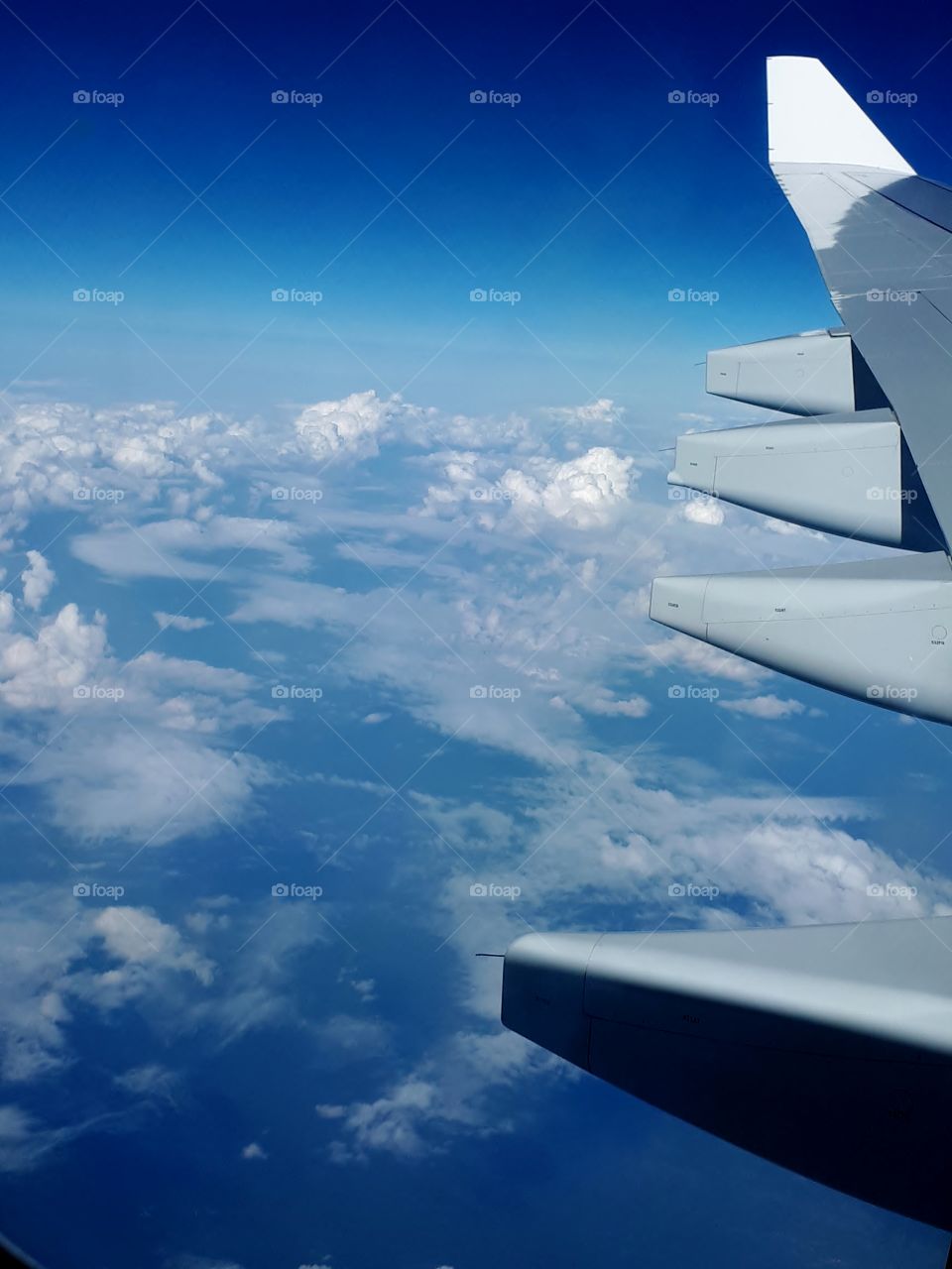 View from the airplane window