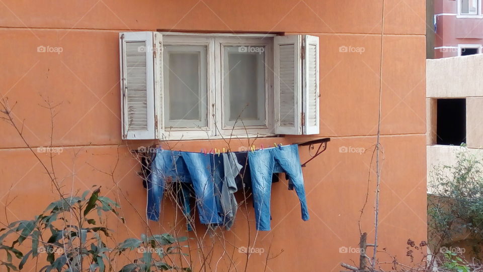 Jeans pants from our neighbor's window.