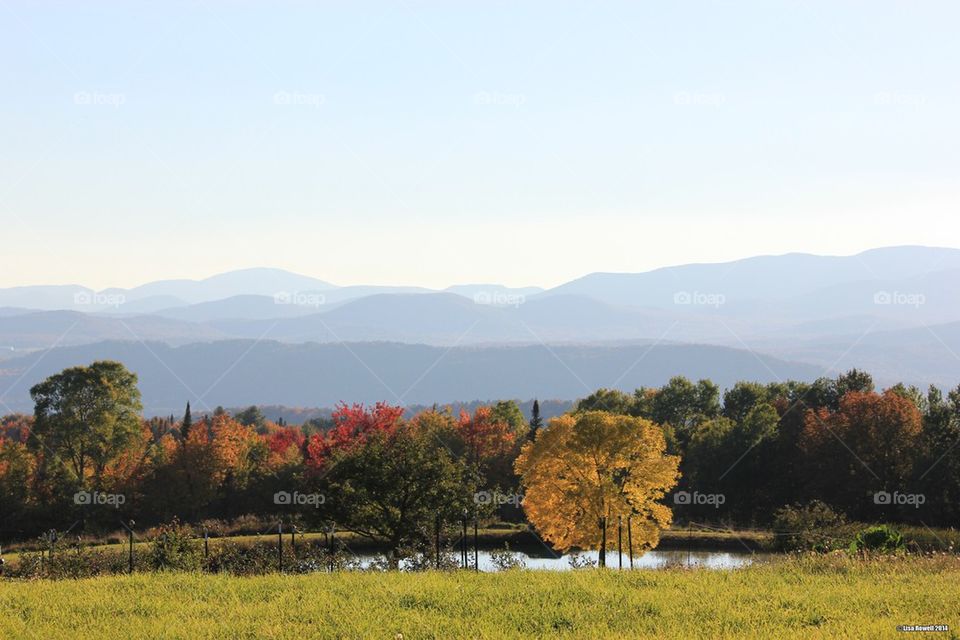 Vermont autumn