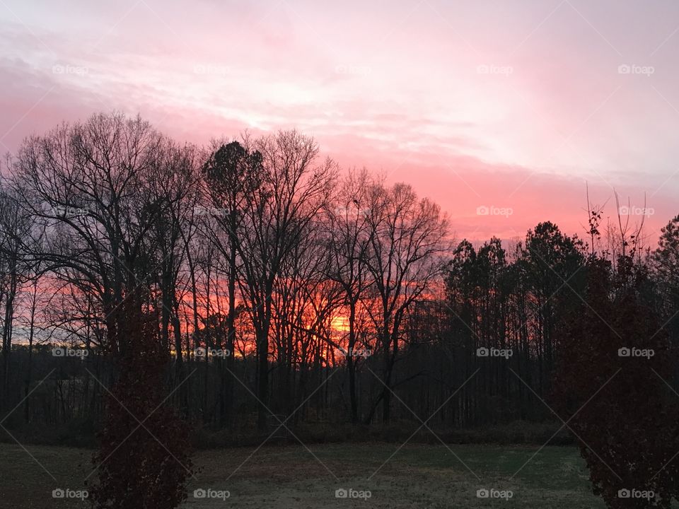 Alabama sunset 