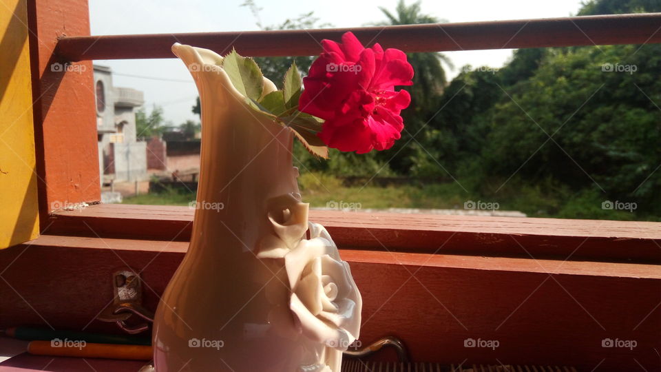 Red rose in flower vase....