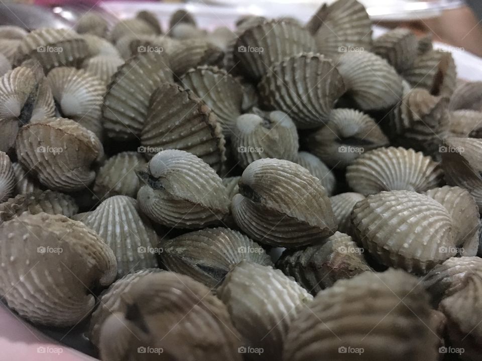 Cockles from the market