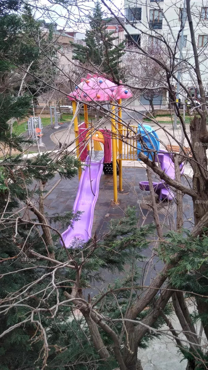 play ground