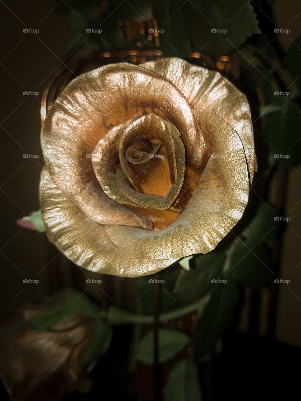Golden rose