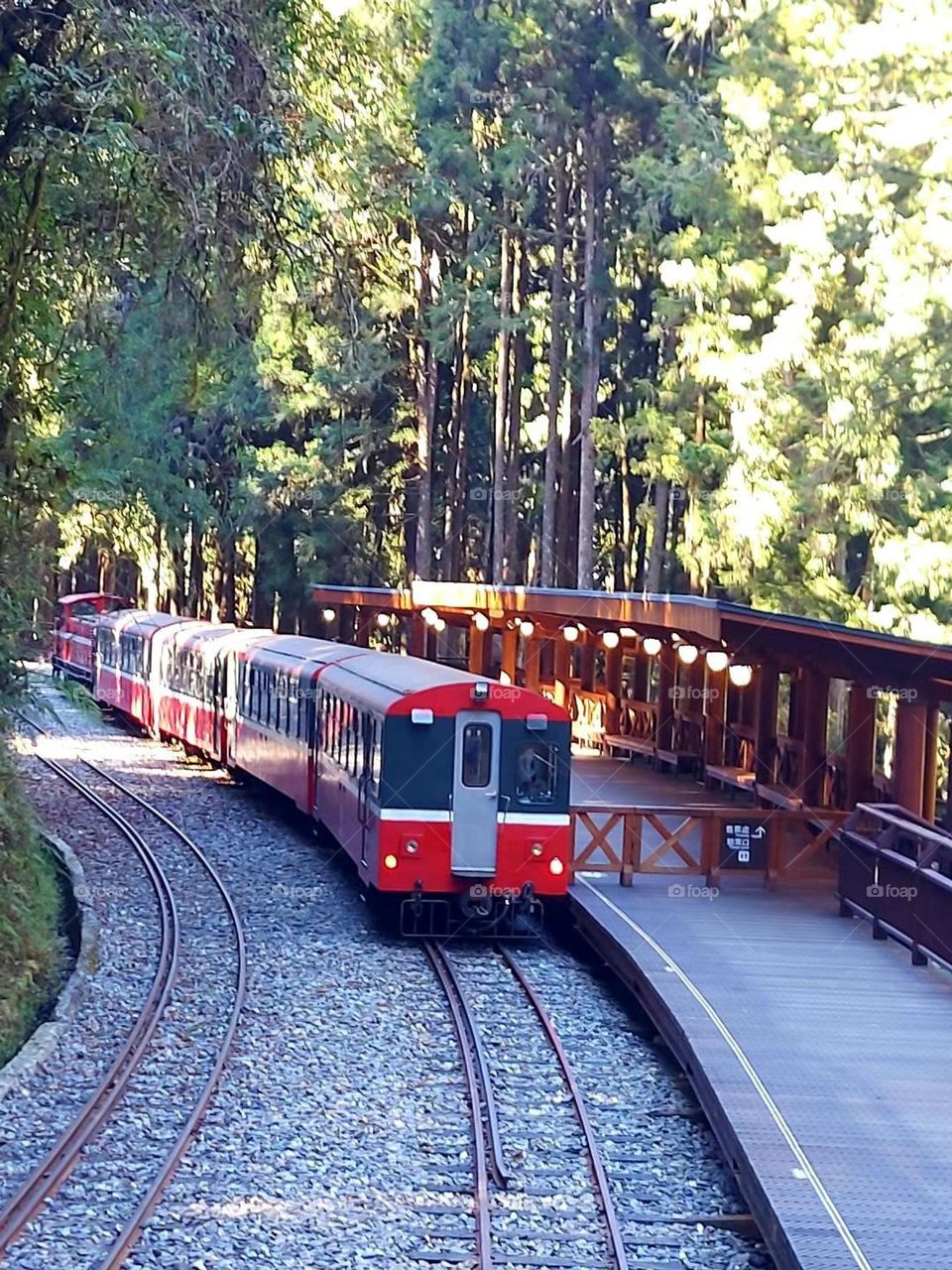 Alishan train