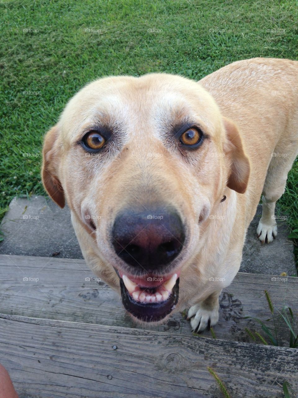 Close up on the steps