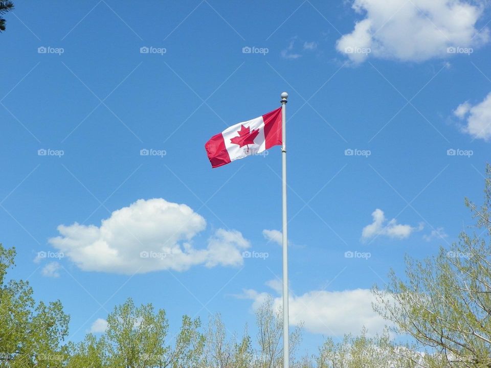 The Canada flag standing proud and tall in a park in Medicine Hat, Alberta, Canada 