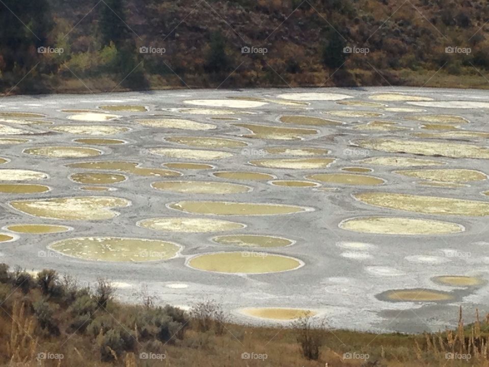 Spotted lake