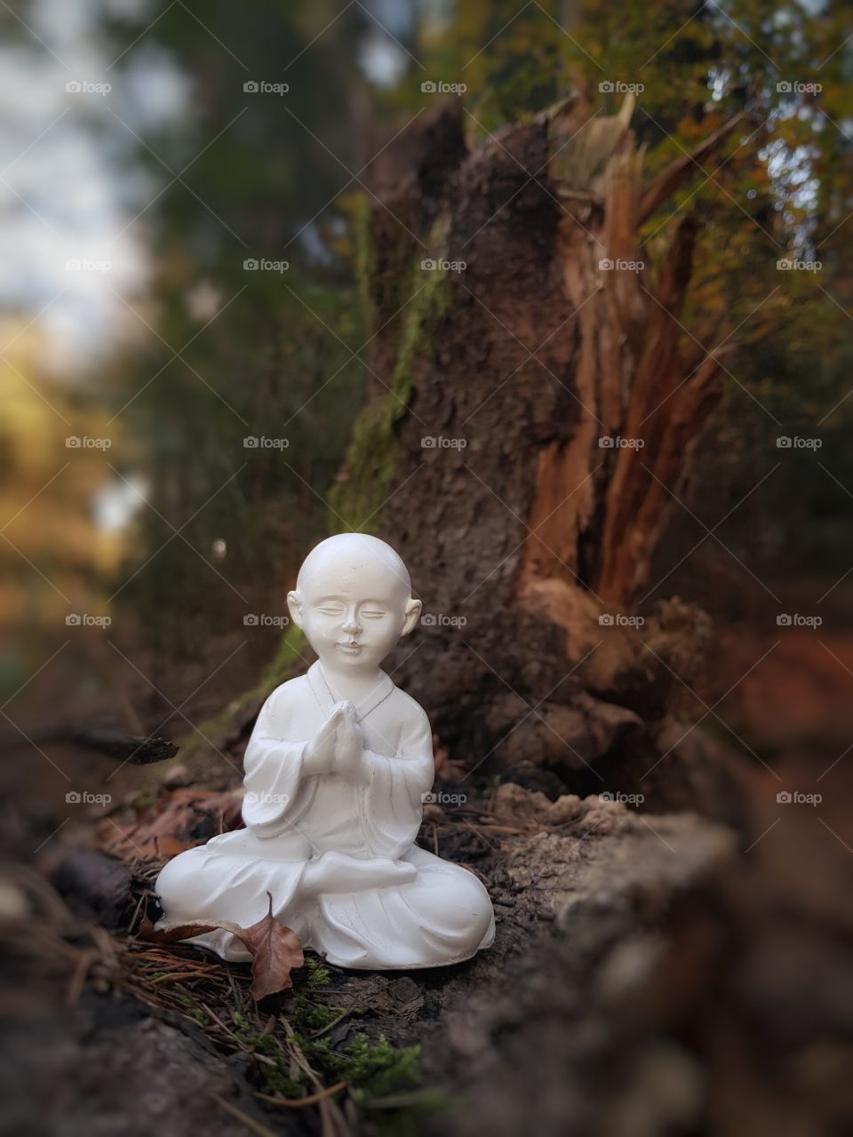 Little Buddha in the forest
