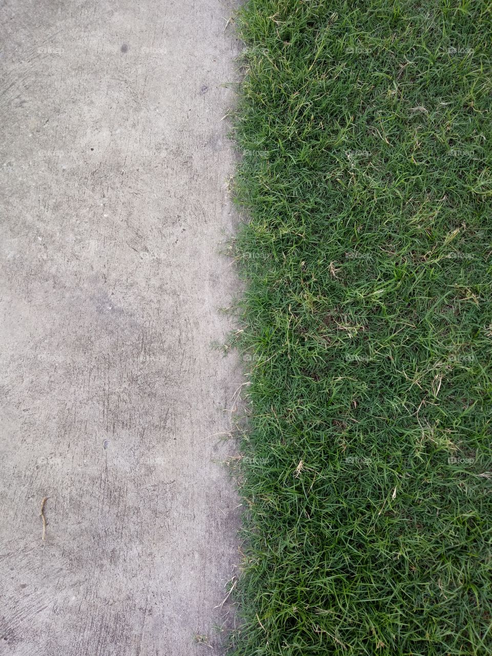 The difference between green grass and cement.