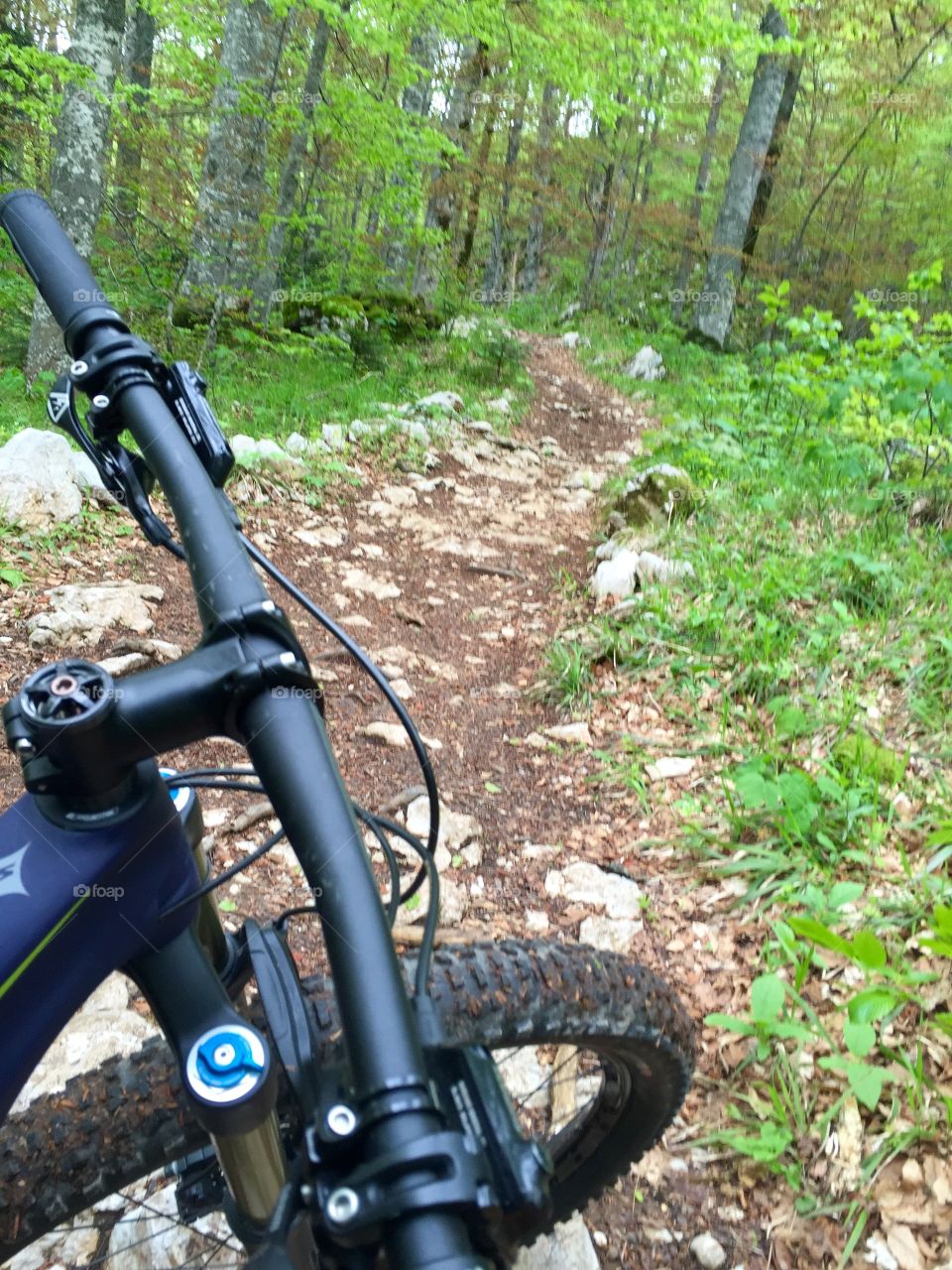 Beautiful day. Beautiful weather. Beautiful place. The best bikes. 🚲☀️🕶😂