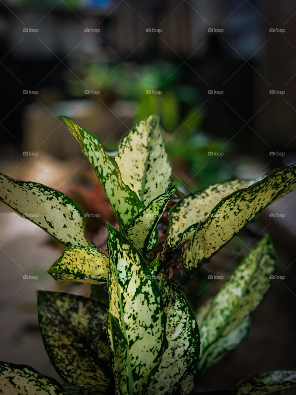 If you love nature, you will find beauty anywhere.