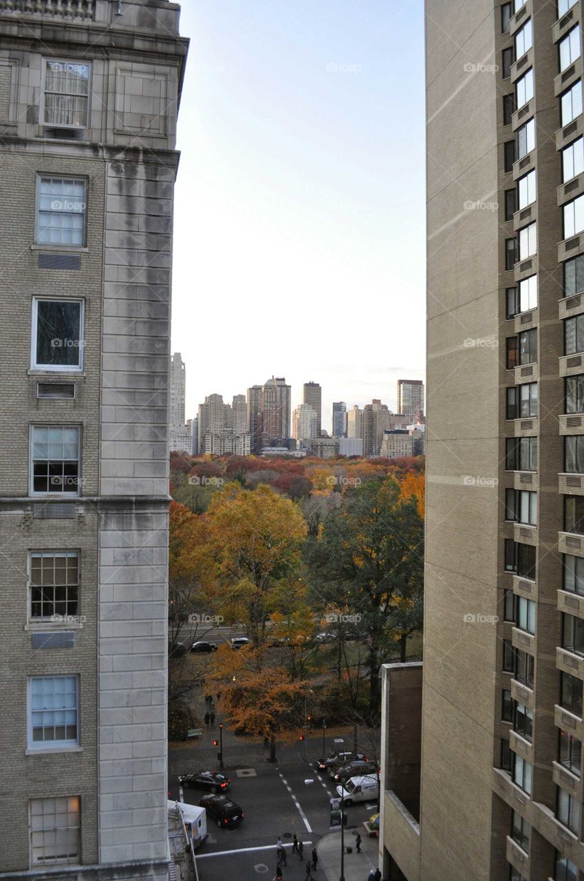 Central Park view