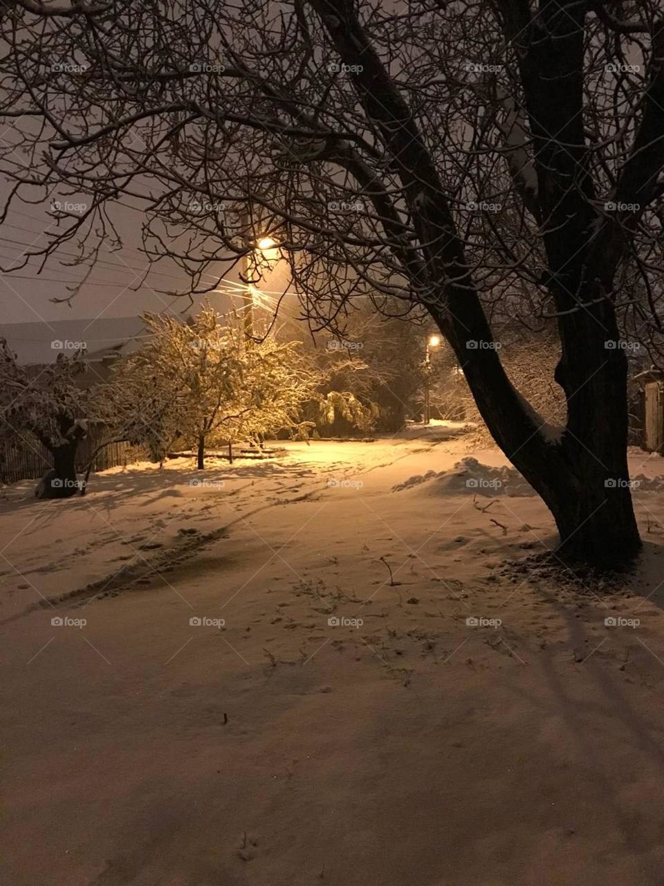 winter has come❄️