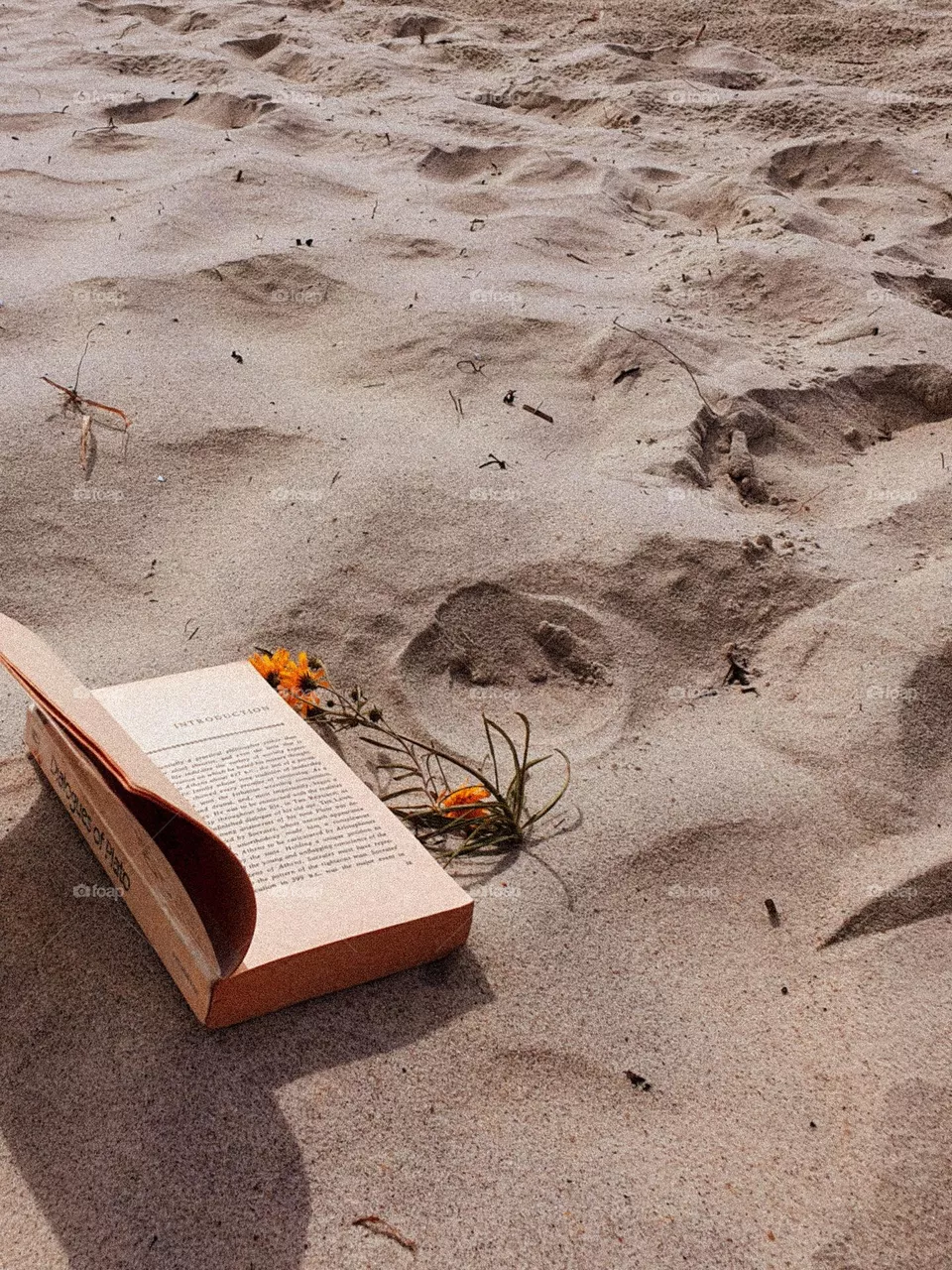 чтение книги на пляже