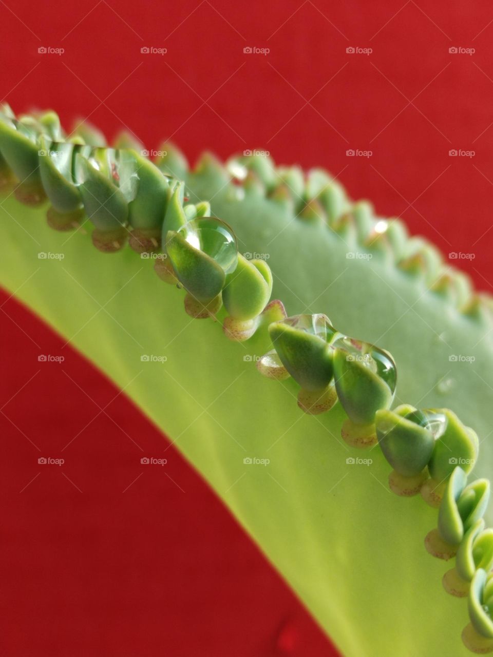 Capture of power colour