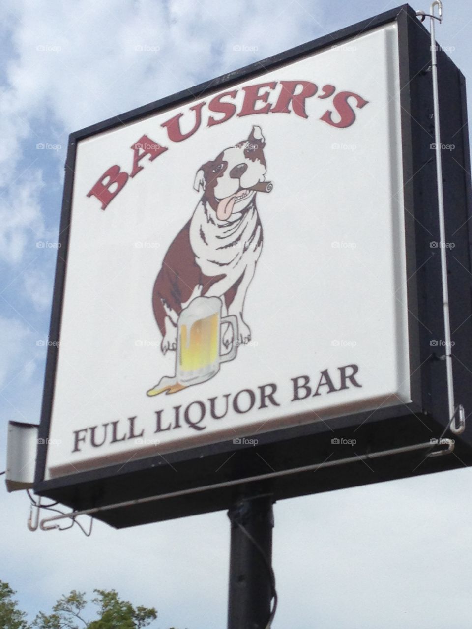 Bulldog bar mascot 