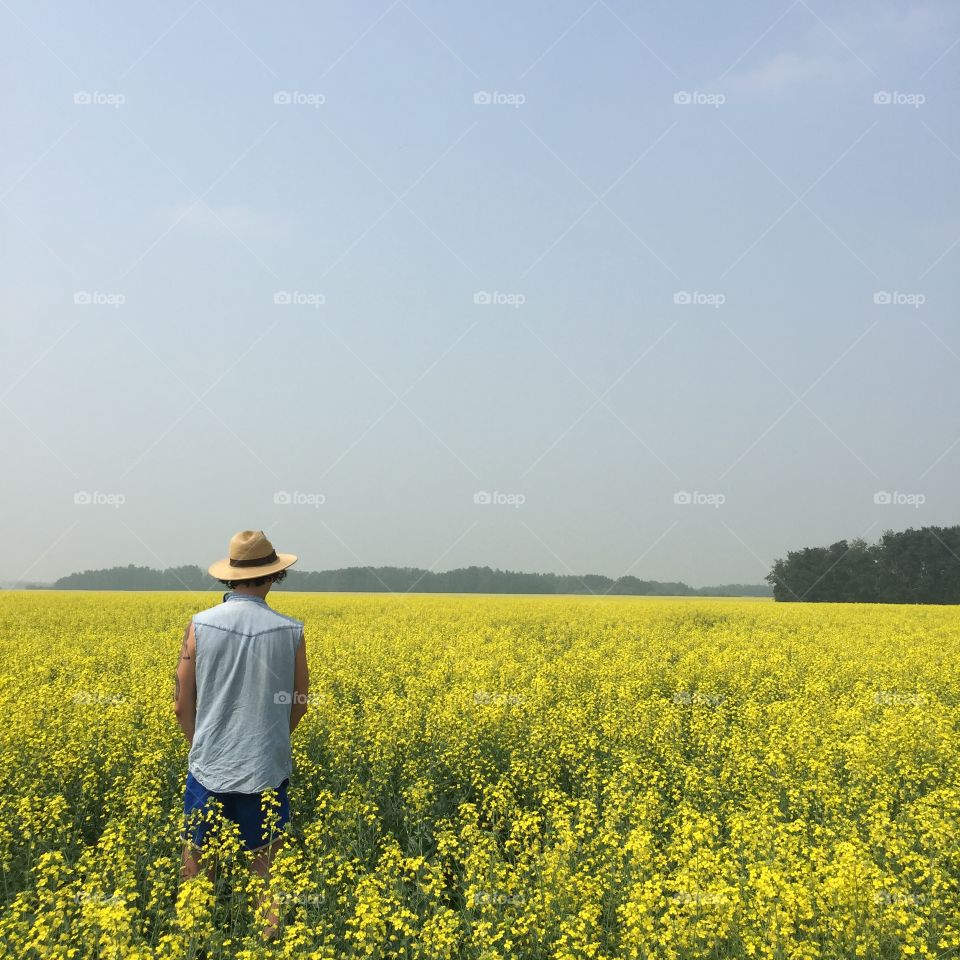 Yellow field