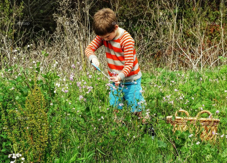 Boy Gathering Wildflowers