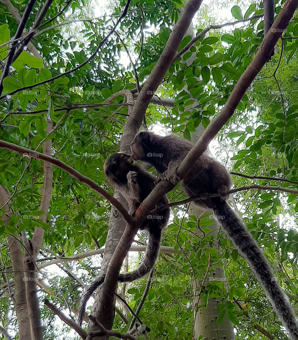 Love is in the air... the important thing is to have an attitude.