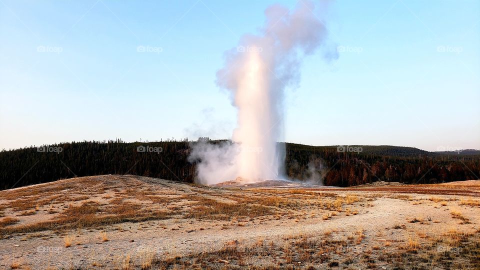 yellowstone ole faithful geyser