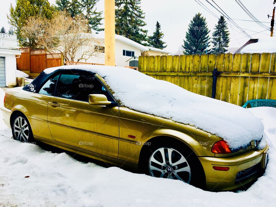 Golden car covered with the snow