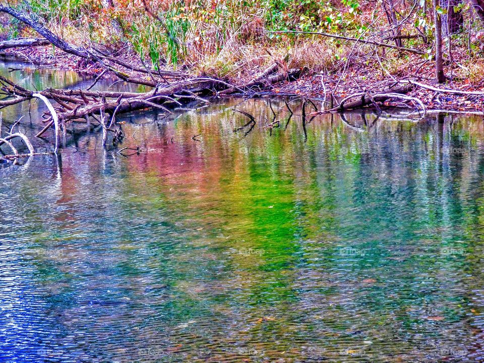 Beautiful fall on the lake 