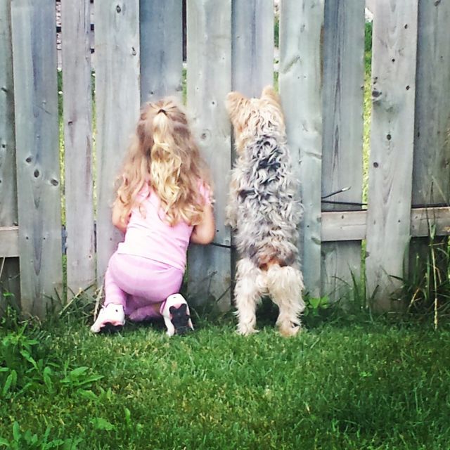 Picture Perfect