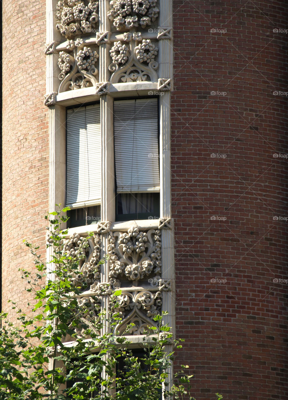 Balcones y Ventanas de Barcelona