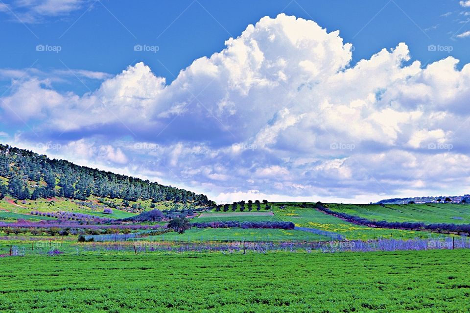 Beautiful landscape around my town.