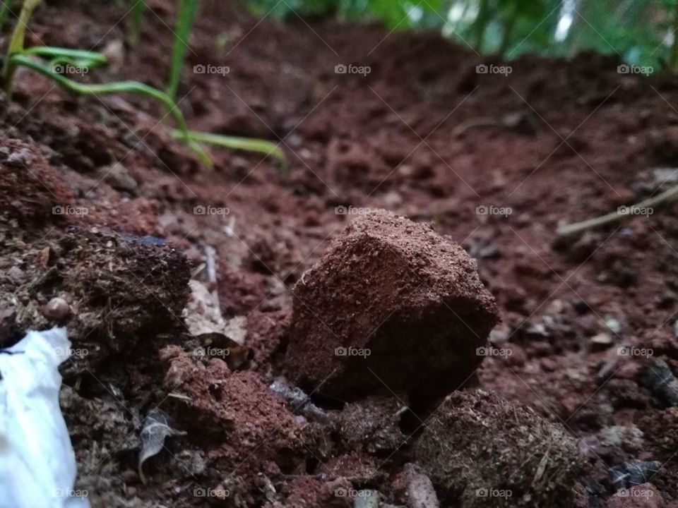 soil