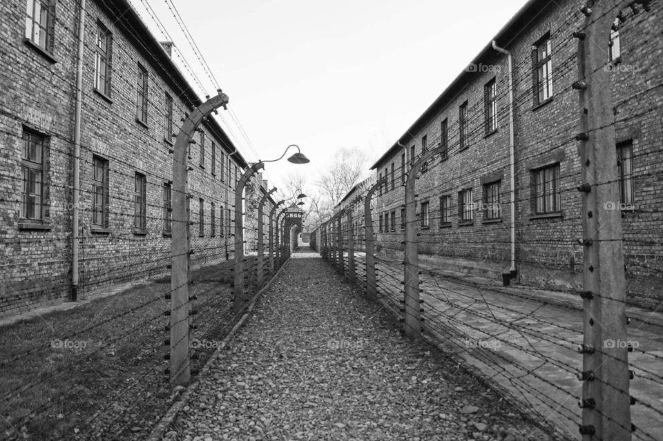Holocaust, Auschwitz - Polen
