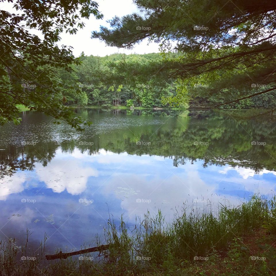 Lake reflections 