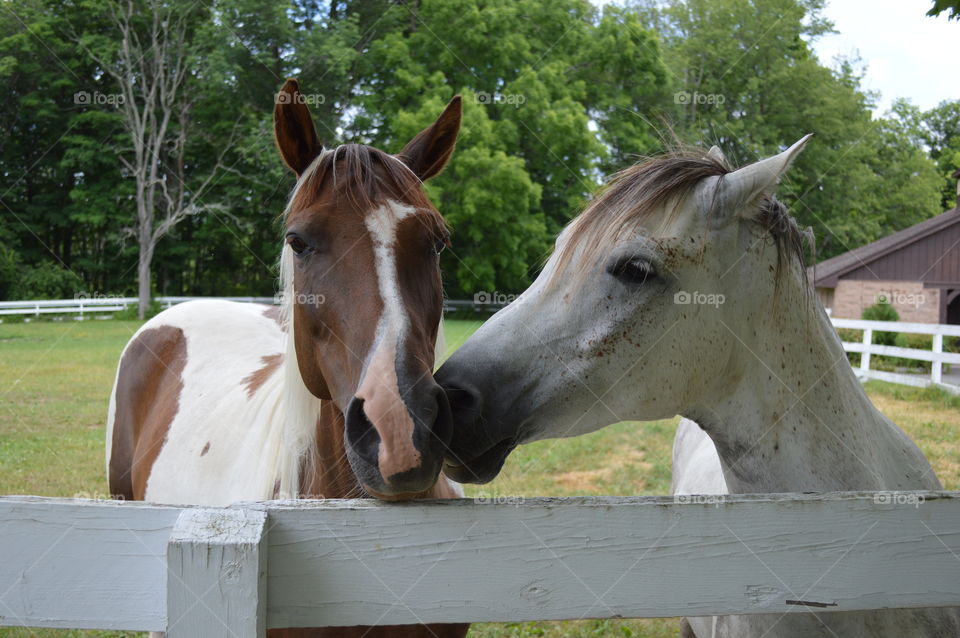 Our first kiss