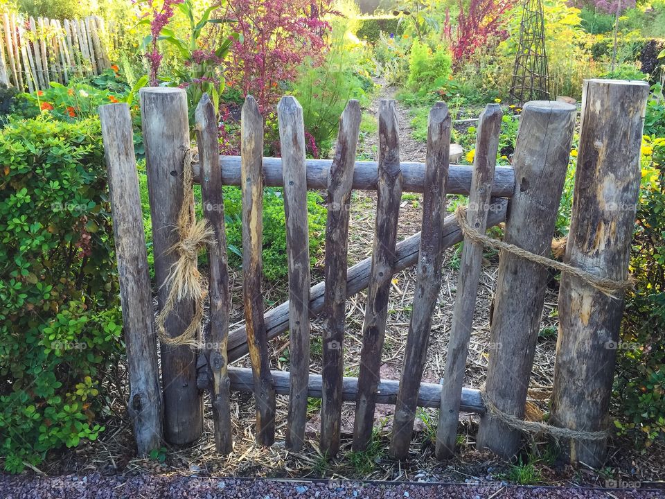 Wooden fence in to the garden