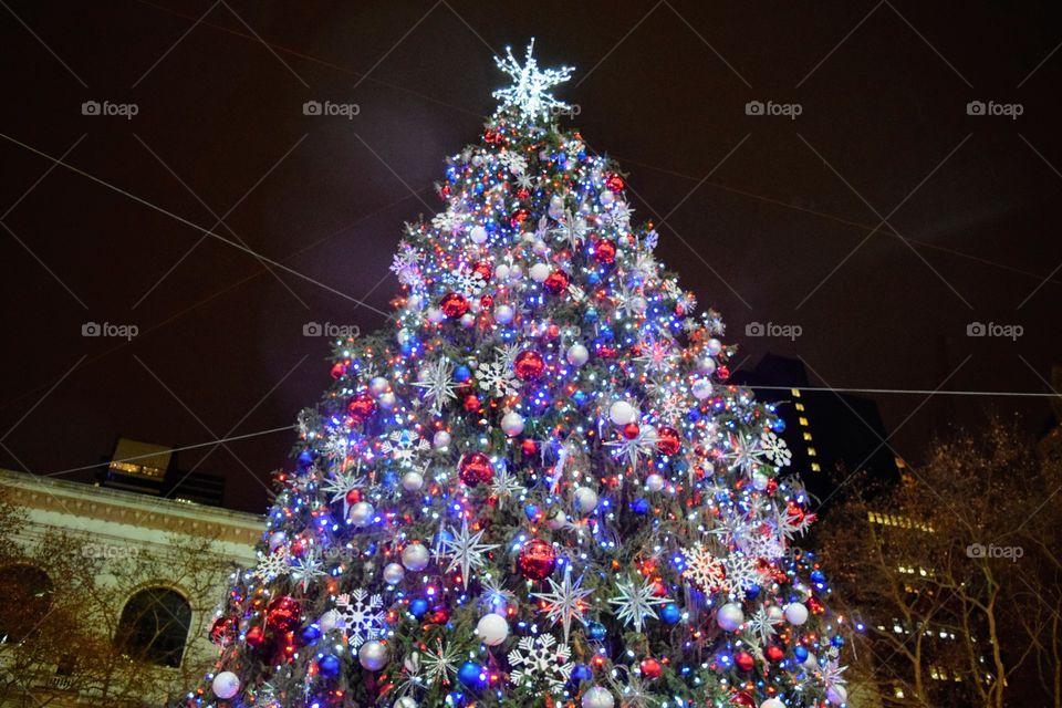 New York City Christmas tree