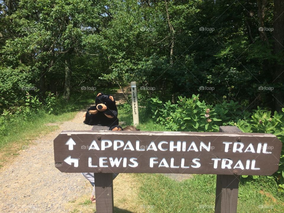 Appalachian trail sign 