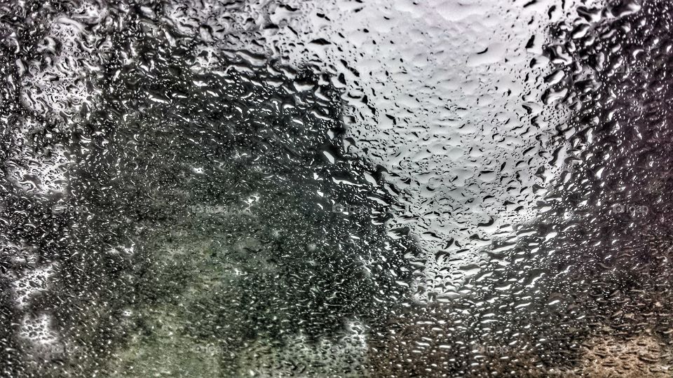 Nature. Trees Through Car Windshield and Raindrops