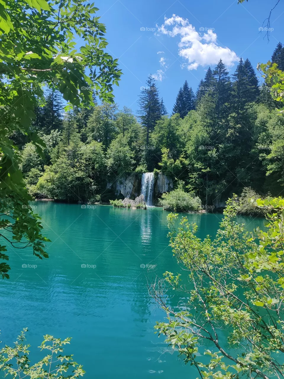 different shades of green 😊