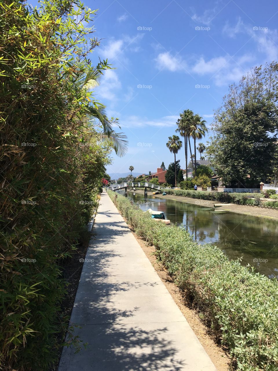 Venice River