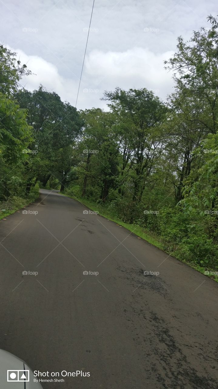 Drive through the greenary, such a pleasant atmosphere, so beautiful to see road curving through green trees as if we are entering into the heart of the NATURE!