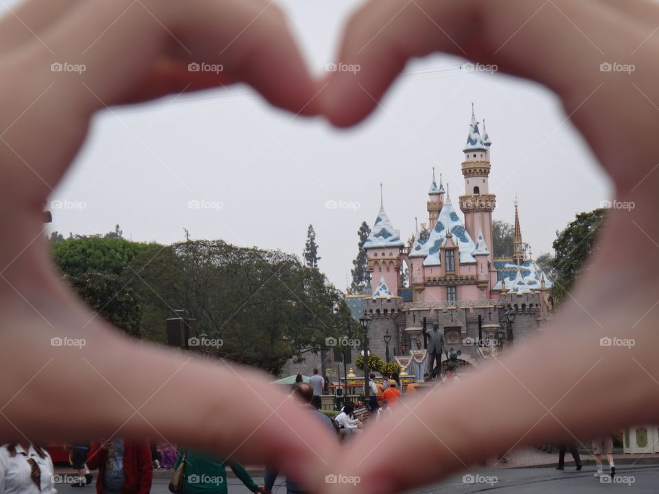 Disney love
