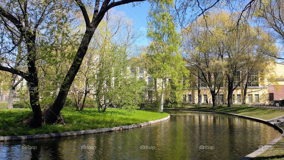 Urban water 🩵 Spring 💚 Park 💚