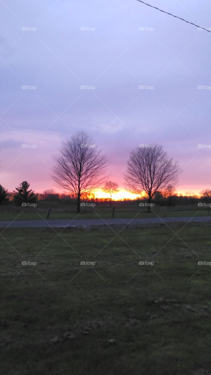 Sunset through the trees